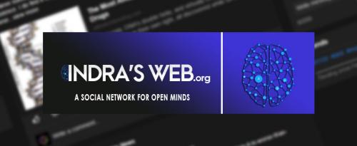 Indra's-Web-Social-Network