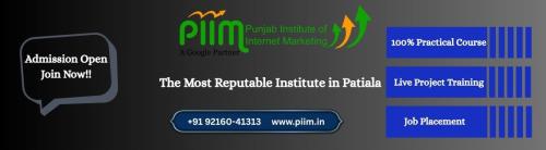 PIIM The Most Reputable Institute in Patiala