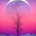 Jenny Turgeon