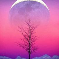 Jenny Turgeon